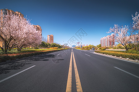 樱花大道宽敞道路高清图片