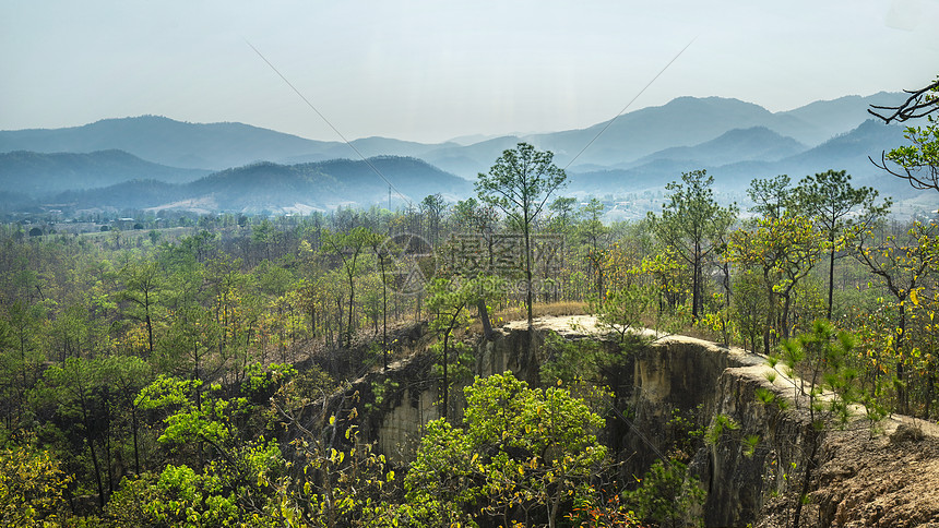 泰国北部拜县山地山村树林芭蕉图片