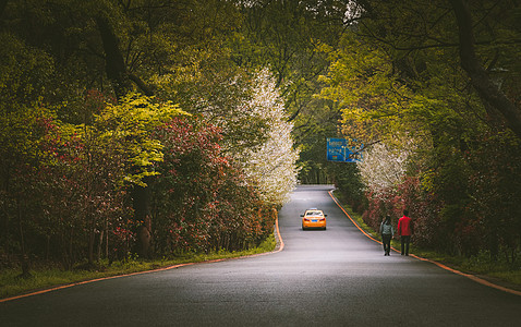 马路行人公路上散步的行人情侣背景