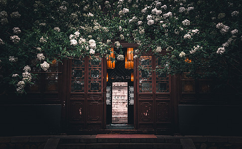 春天南京清凉山崇正书院的植物绣球花与古代建筑背景图片