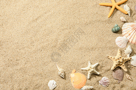 海边海星素材沙滩贝壳背景