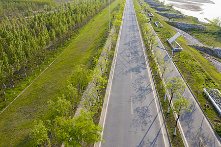 马路绿化带城市绿化道路背景