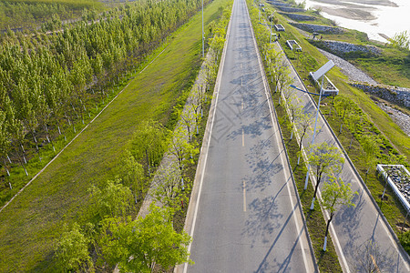 城市绿化道路图片