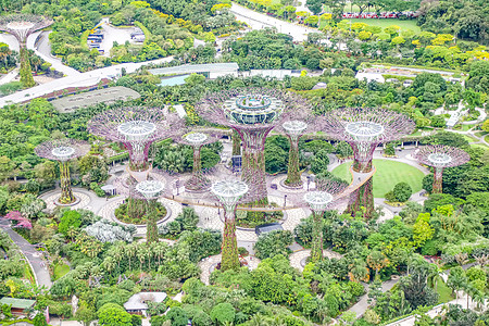 滨海湾花园新加坡滨海湾公园背景