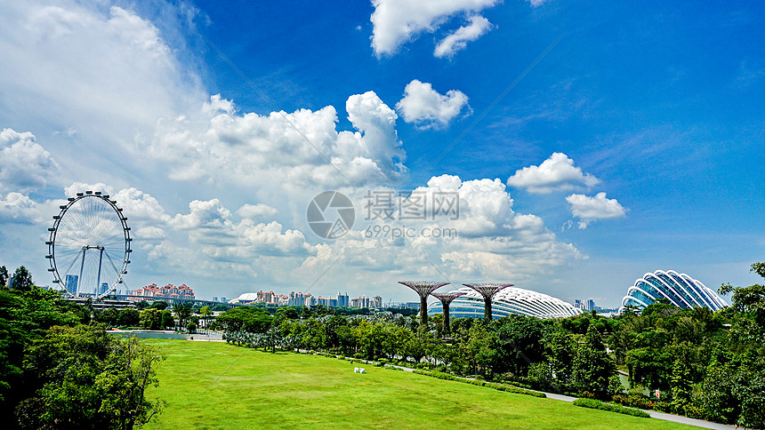 新加坡的人工大树公园图片