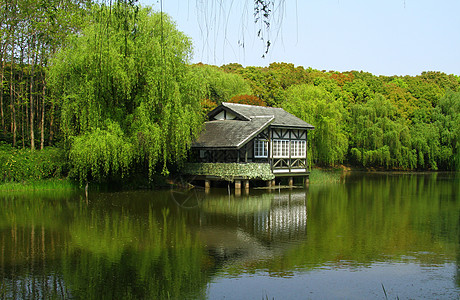 湿地公园公园绿荫高清图片