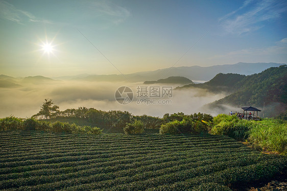 山顶云海日出图片