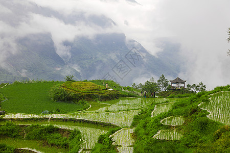 田园雾景宽景阳台高清图片