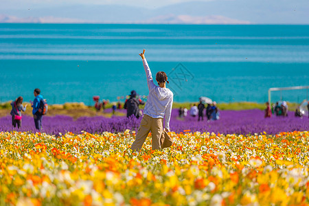 青海湖花海青海湖旅行高清图片