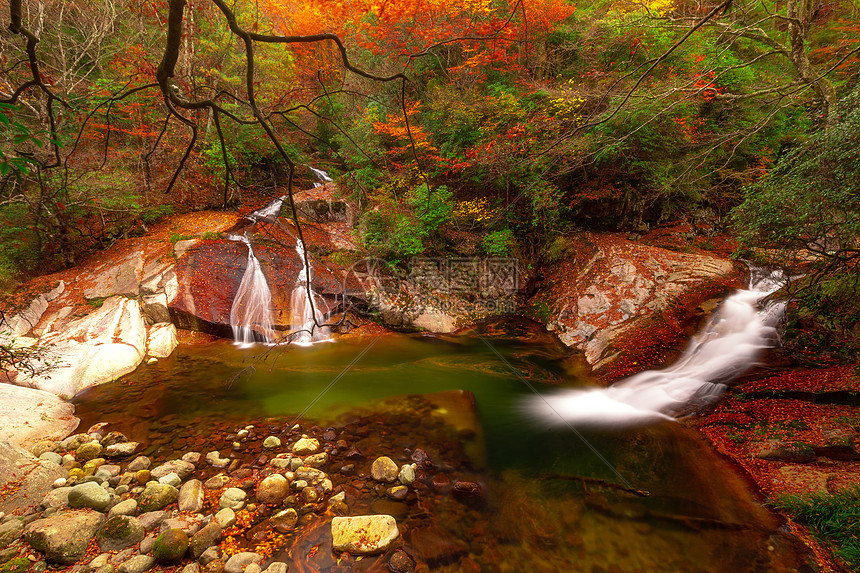 照片 自然风景 四川成都光雾山网红景区红叶节.