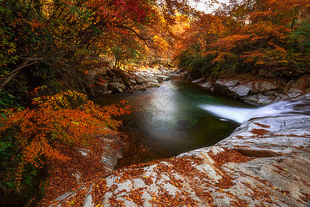 秋天瀑布光雾山网红景区红叶节流水背景