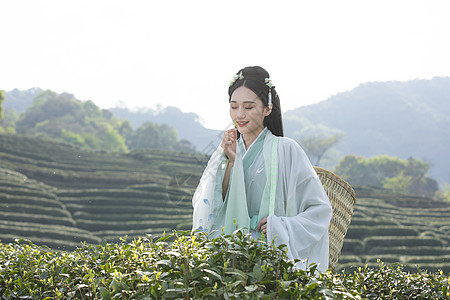 古风美女汉服古装美女背茶篓采茶背景