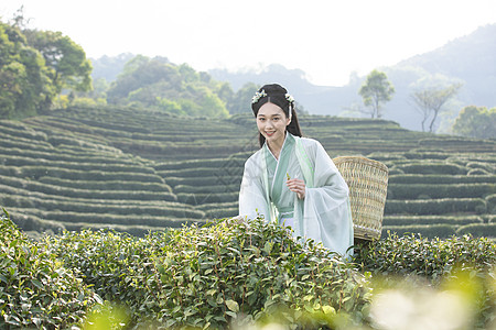 裸背女汉服古装美女背茶篓采茶背景