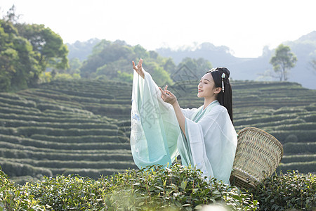 汉服古装美女背茶篓采茶图片