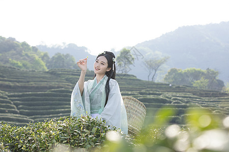 裸背女汉服古装美女背茶篓采茶背景