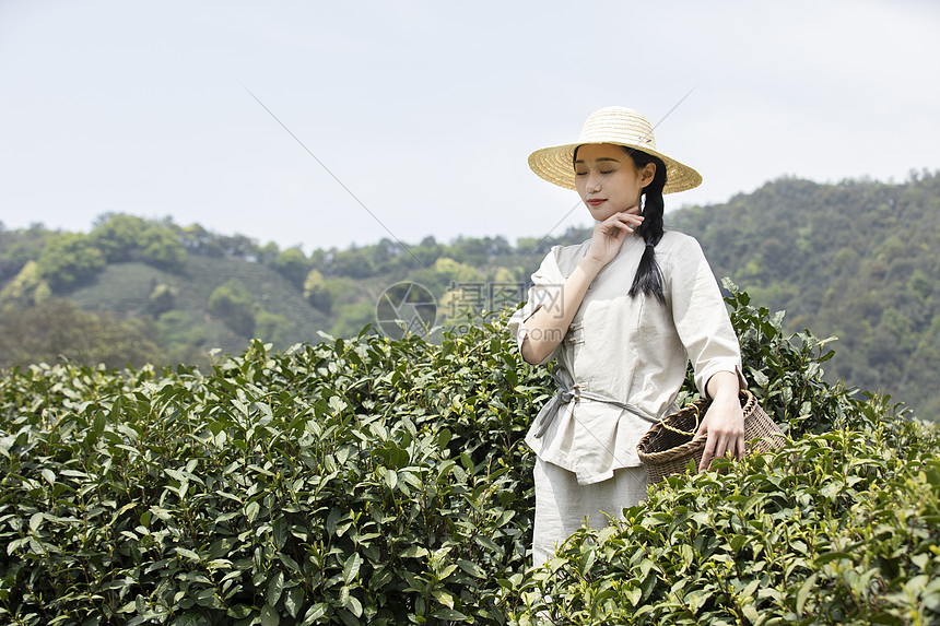 茶园里的采茶姑娘擦汗