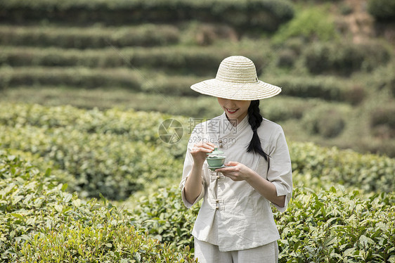 茶园里的采茶姑娘泡茶图片