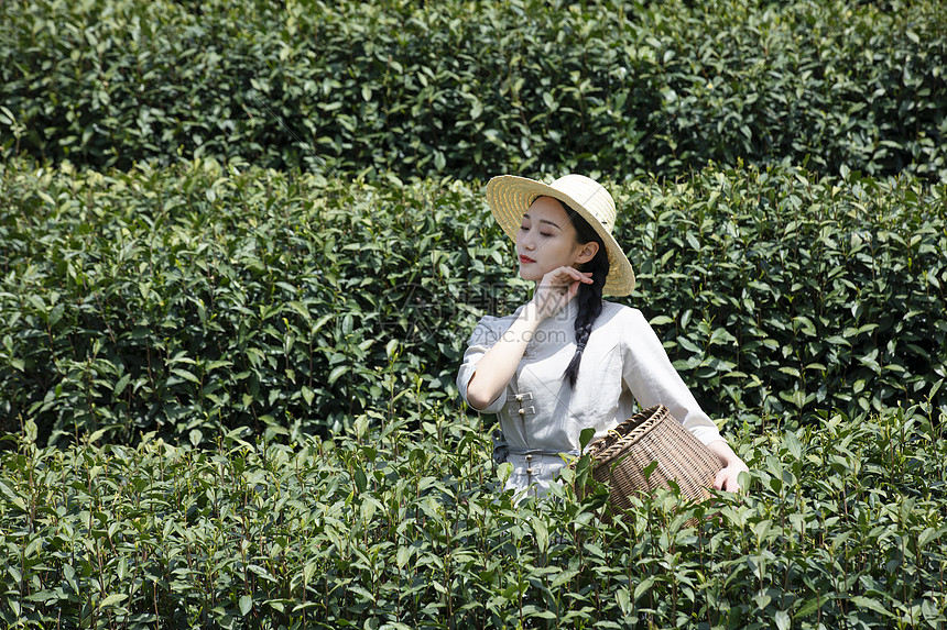 茶园里的采茶姑娘擦汗
