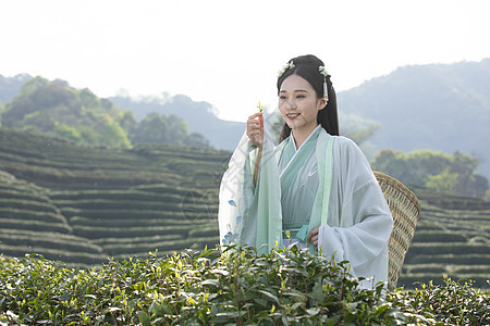 汉服古装美女背茶篓采茶图片