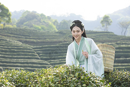 汉服古装美女背茶篓采茶图片