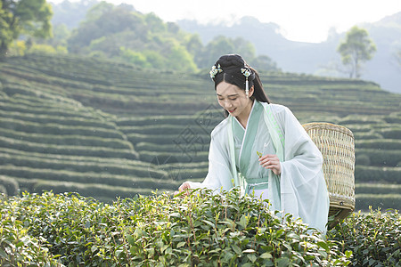 汉服古装美女背茶篓采茶背景