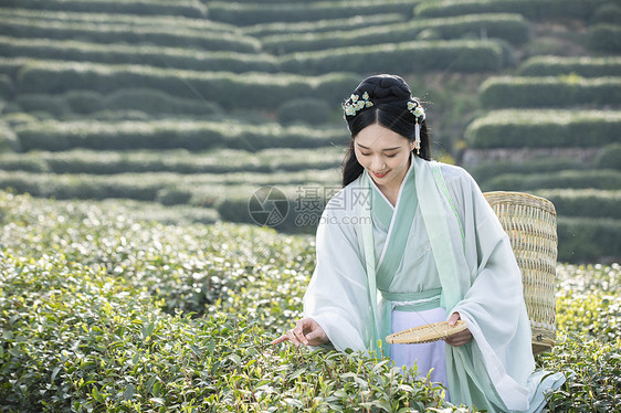 汉服古装美女背茶篓采茶图片