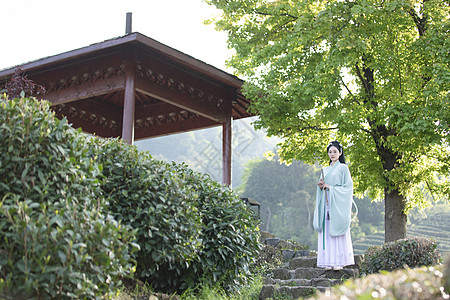 汉服古装美女采茶图片