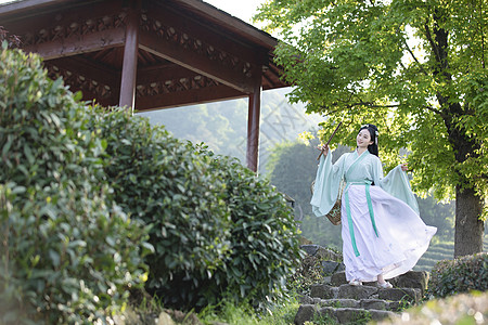 茶园中的美女汉服古装美女行走在茶园中背景