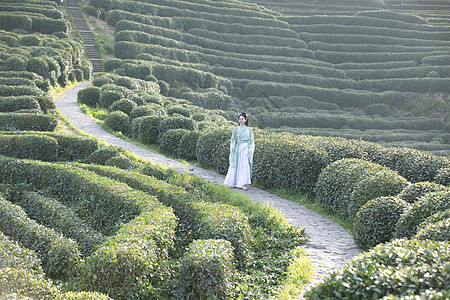 汉服古装美女行走在茶园中背景