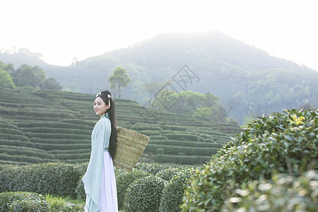 汉服古装美女背茶篓采茶图片