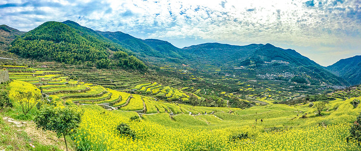 覆卮山油菜花梯田全景高清图片