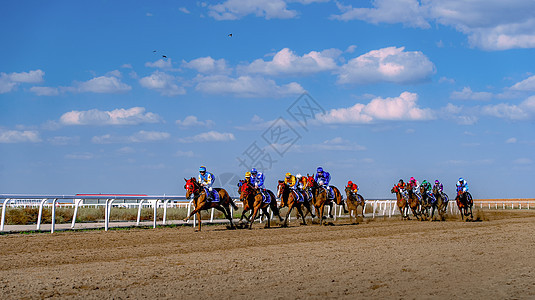 内蒙古国际速度赛马图片