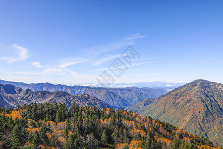 秋天森林日本阿尔卑斯山秋日风光背景