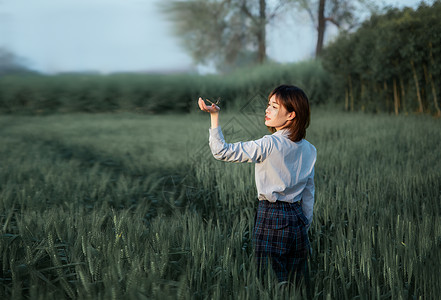 蝴蝶女人麦田清新蝴蝶人像背景