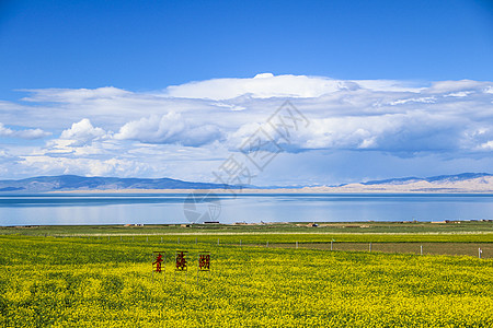 黄色风景青海湖背景