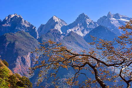云南香格里拉虎跳峡风景区背景图片
