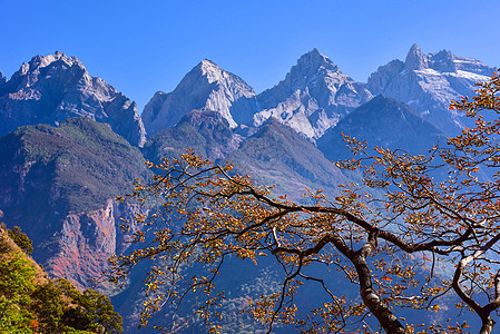 云南香格里拉虎跳峡风景区背景