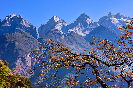 云南香格里拉虎跳峡风景区图片