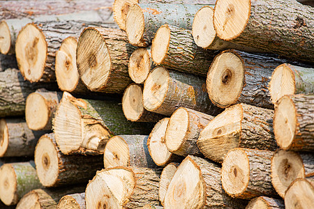木材木纹砍伐树木高清图片