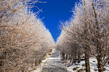 冬日雪景冬日风光背景