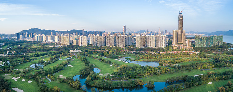 城市绿化道路深圳南山区沙河高尔夫球会背景