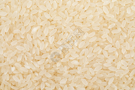 东北大米长粒米图片