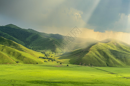 呼伦贝尔大草原风景背景