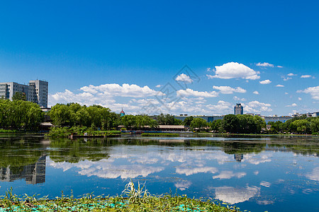 北京后海夏日背景图片