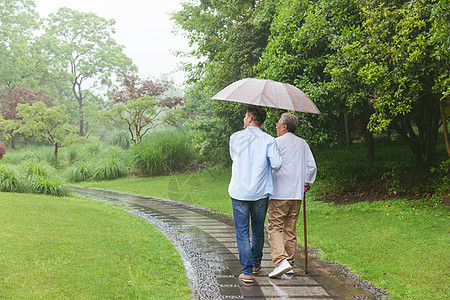 中老年父子撑伞下雨天逛公园高清图片