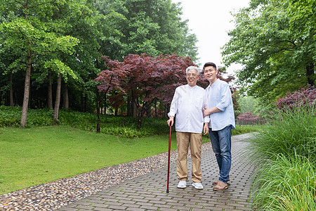 老人锻炼中老年父子逛公园背景