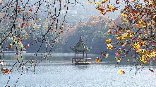 处暑江西九江庐山芦林湖秋景背景