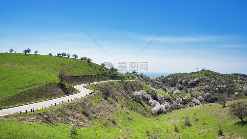 新疆大西沟草原上的道路图片