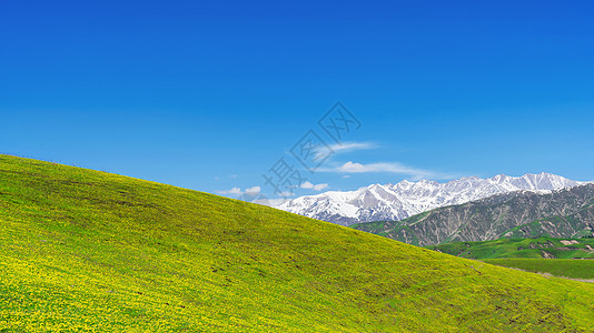 新疆霍尔果斯大西沟草原背景