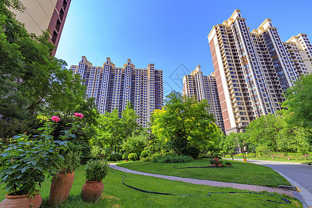 高端住宅生活小区绿化背景